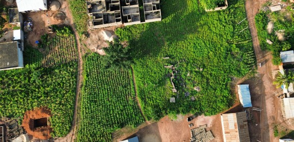 dji_fly_20240923_163942_34_1727109591395_photo_optimized.jpg