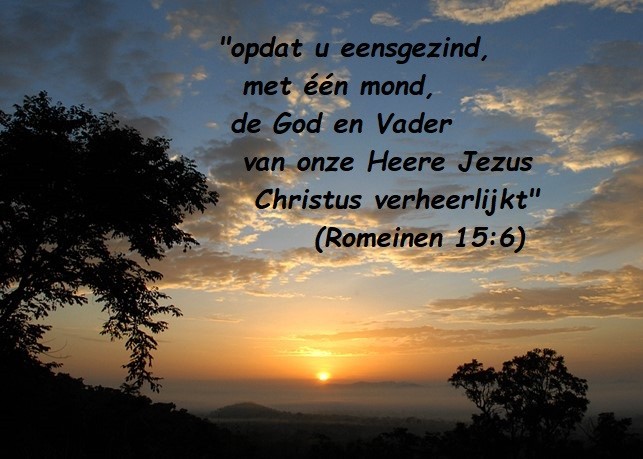 Afbeelding1.jpg